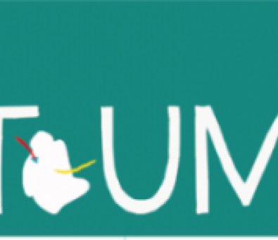 Impact Umbria Logo