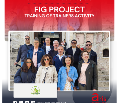 fig project training