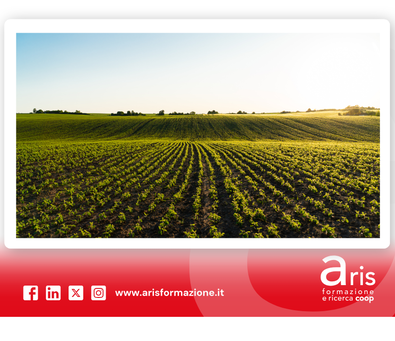 agricoltura