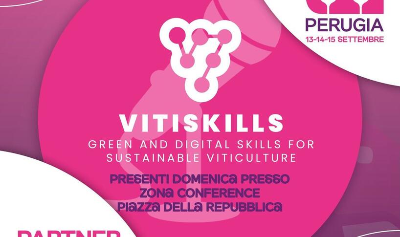 vitiskills